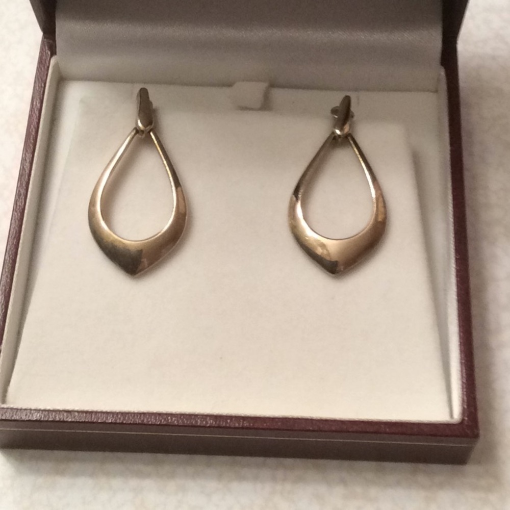 Beautiful Monet Earrings